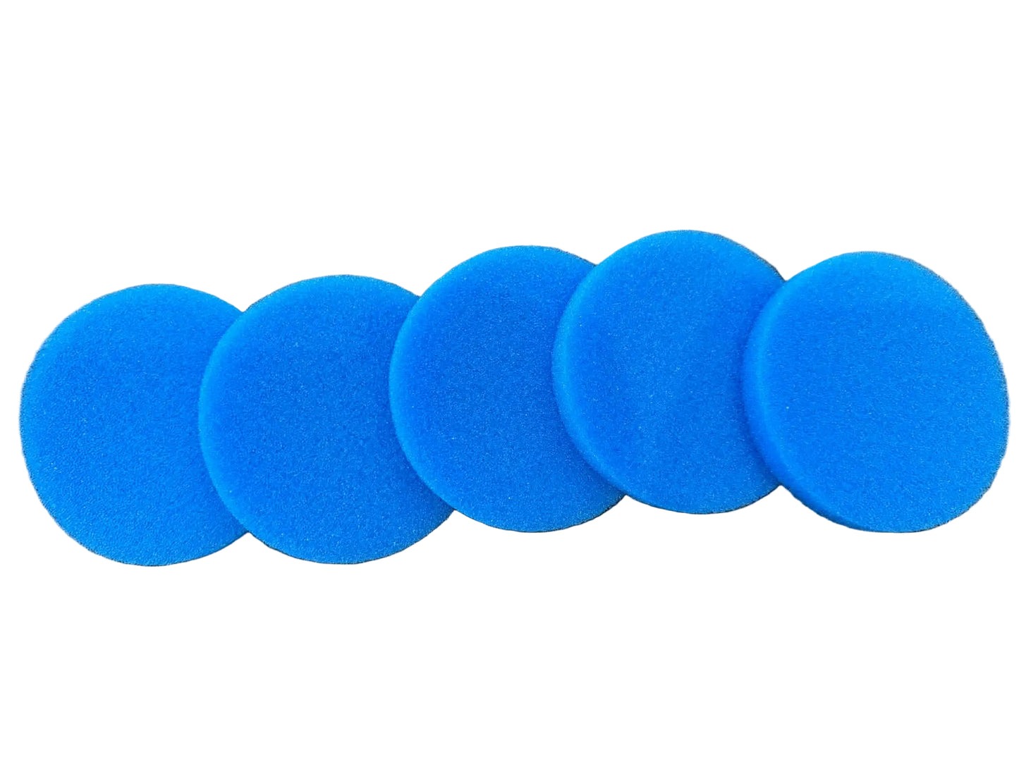 Round Endo Foam 100pcs/pack