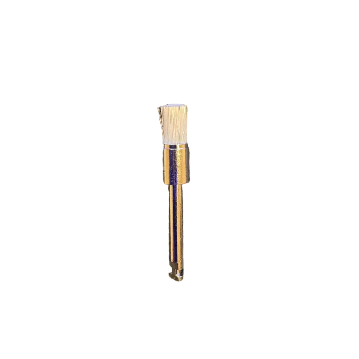 Prophy Brushes Latch Type 100 pcs/pack