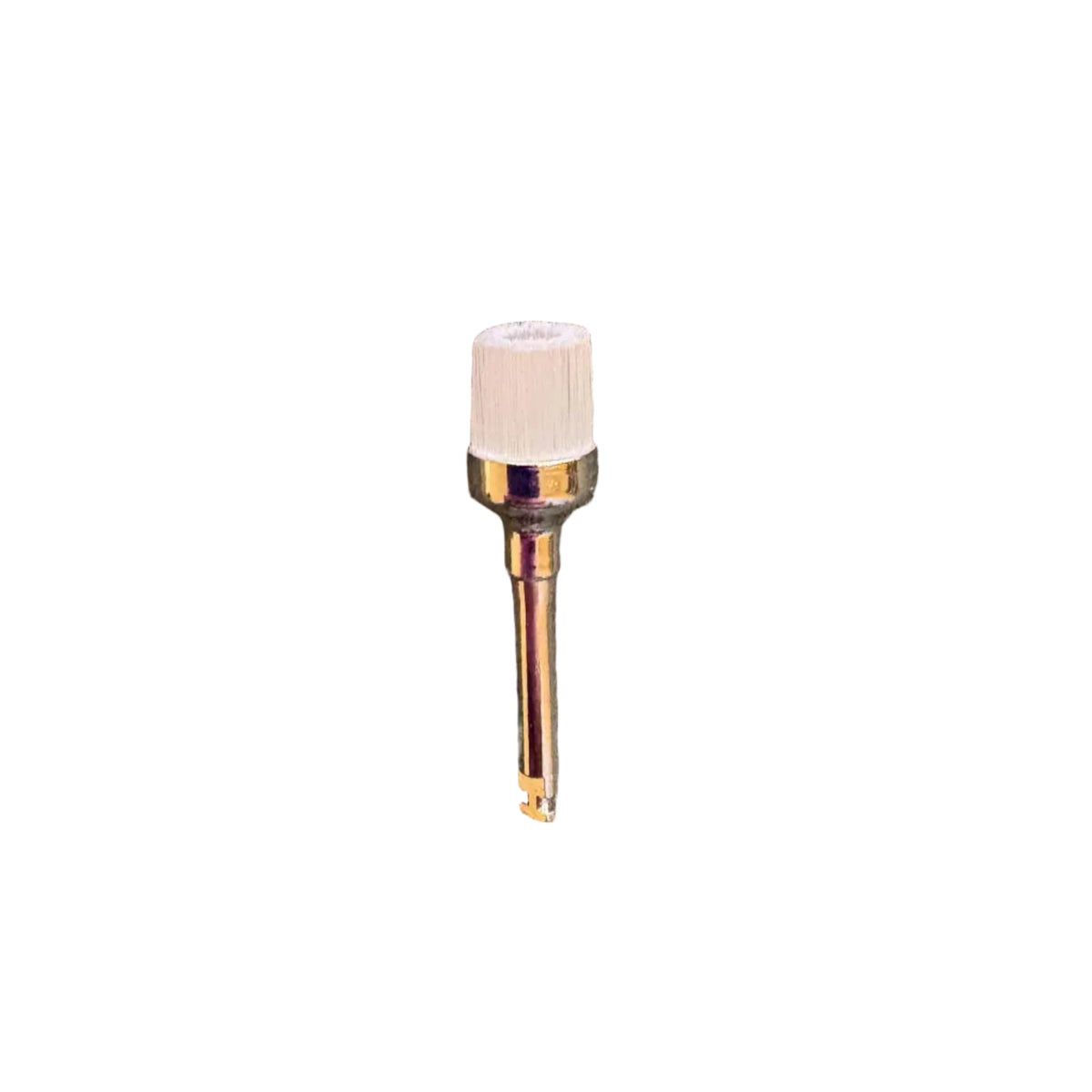 Prophy Brushes Latch Type 100 pcs/pack