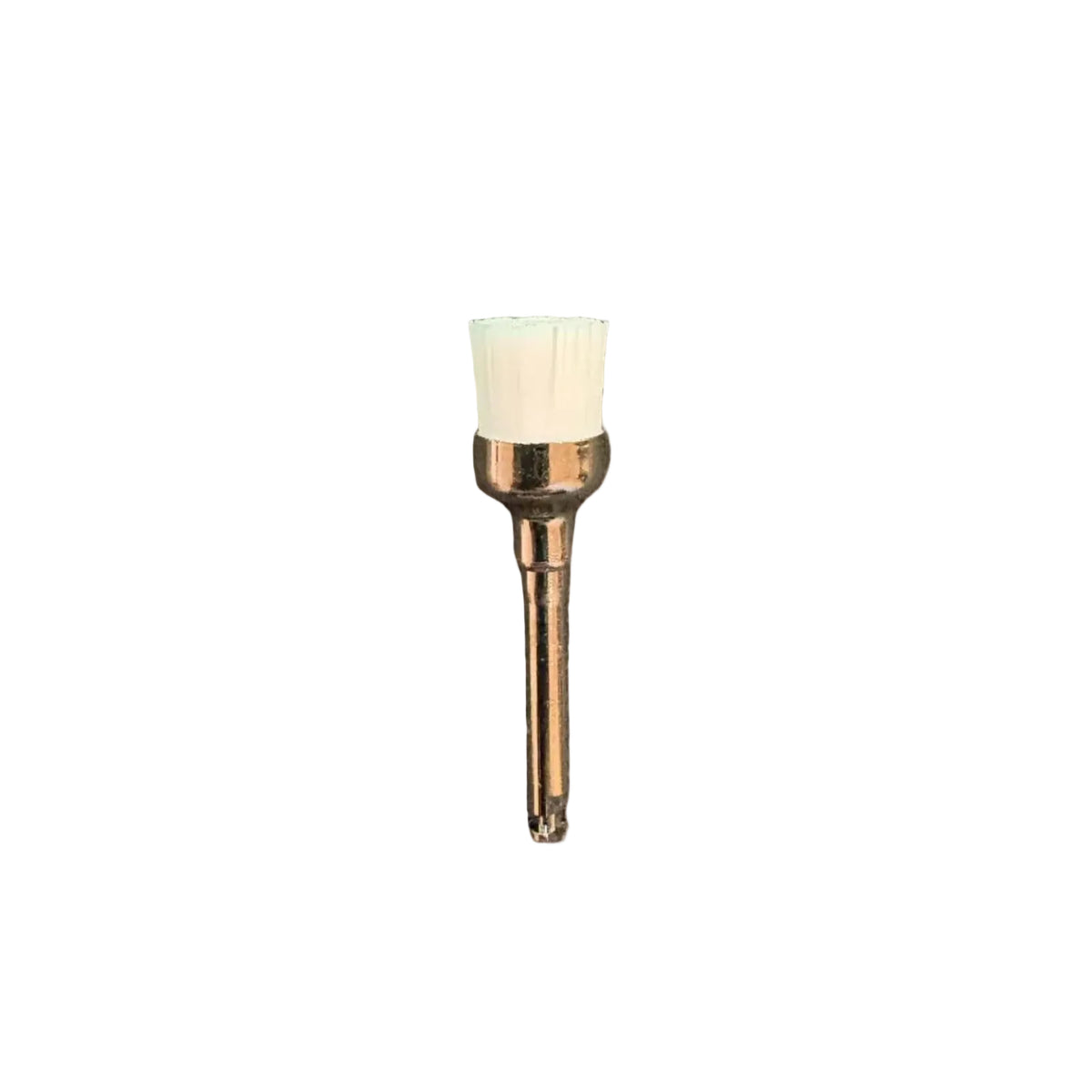 Prophy Brushes Latch Type 100 pcs/pack